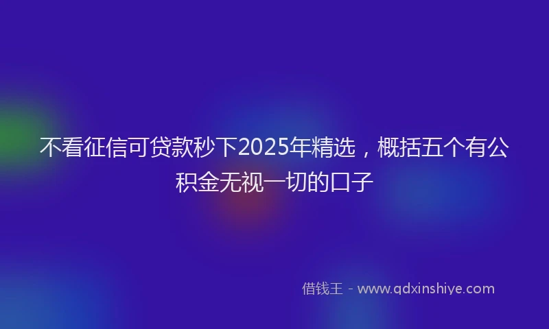 不看征信可贷款秒下2025年精选，概括五个有公积金无视一切的口子