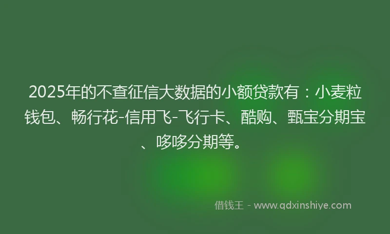 2025年的不查征信大数据的小额贷款有：小麦粒钱包、畅行花-信用飞-飞行卡、酷购、甄宝分期宝、哆哆分期等。