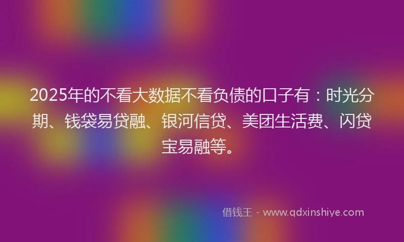 2025年的不看大数据不看负债的口子有：时光分期、钱袋易贷融、银河信贷、美团生活费、闪贷宝易融等。