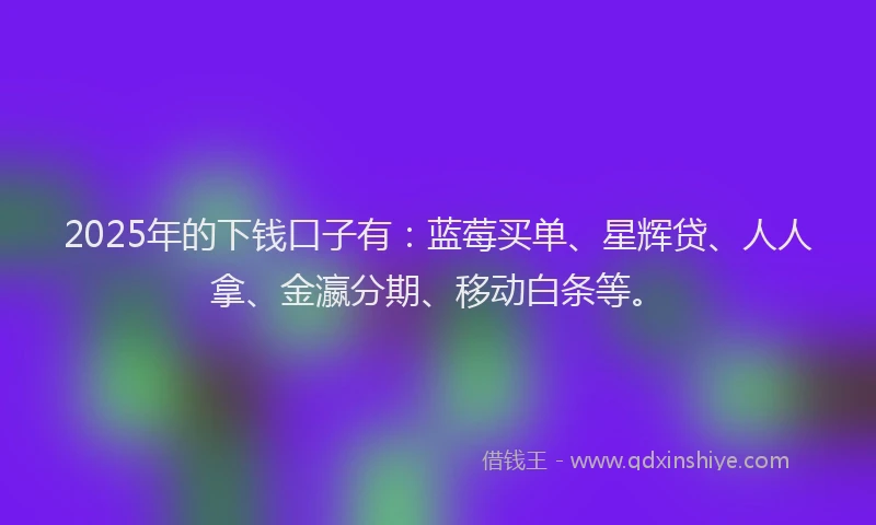2025年的下钱口子有：蓝莓买单、星辉贷、人人拿、金瀛分期、移动白条等。