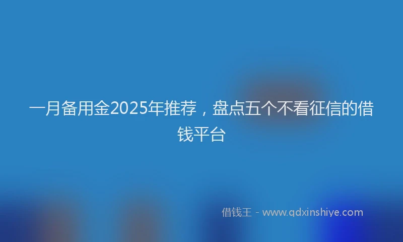一月备用金2025年推荐，盘点五个不看征信的借钱平台