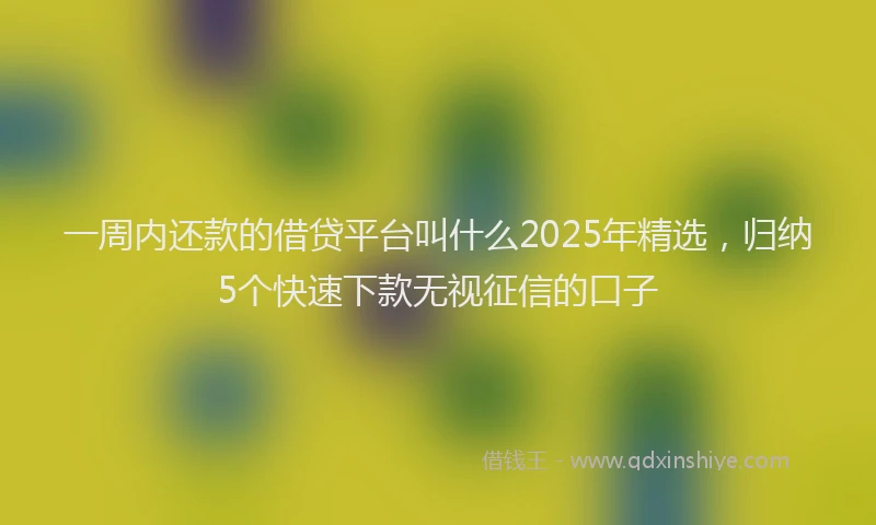一周内还款的借贷平台叫什么2025年精选，归纳5个快速下款无视征信的口子