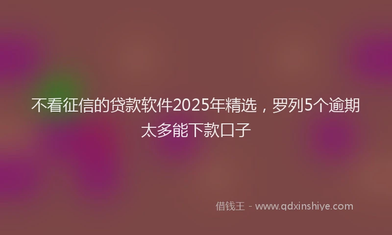 不看征信的贷款软件2025年精选，罗列5个逾期太多能下款口子