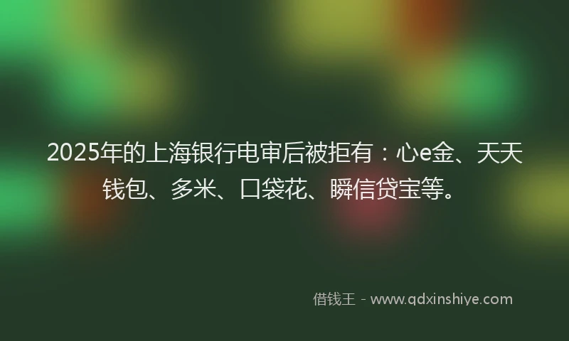 2025年的上海银行电审后被拒有：心e金、天天钱包、多米、口袋花、瞬信贷宝等。