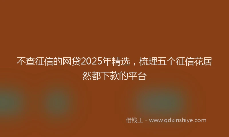 不查征信的网贷2025年精选，梳理五个征信花居然都下款的平台