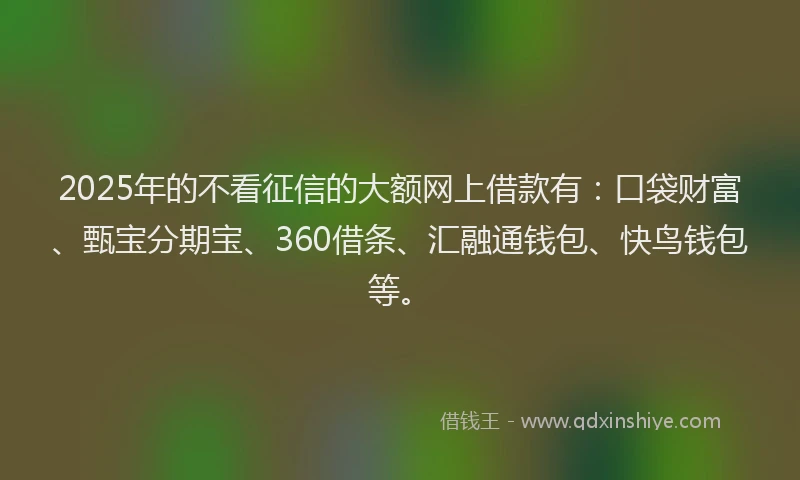 2025年的不看征信的大额网上借款有：口袋财富、甄宝分期宝、360借条、汇融通钱包、快鸟钱包等。