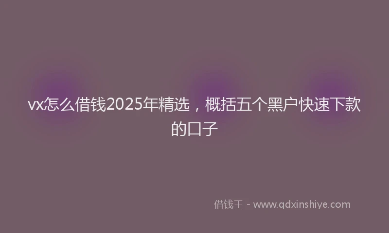 vx怎么借钱2025年精选，概括五个黑户快速下款的口子
