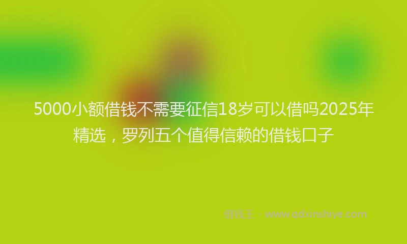 5000小额借钱不需要征信18岁可以借吗2025年精选，罗列五个值得信赖的借钱口子