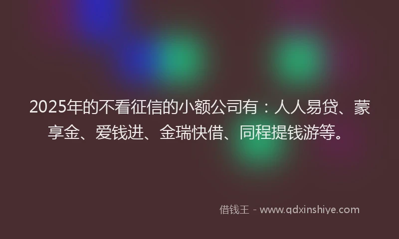 2025年的不看征信的小额公司有：人人易贷、蒙享金、爱钱进、金瑞快借、同程提钱游等。