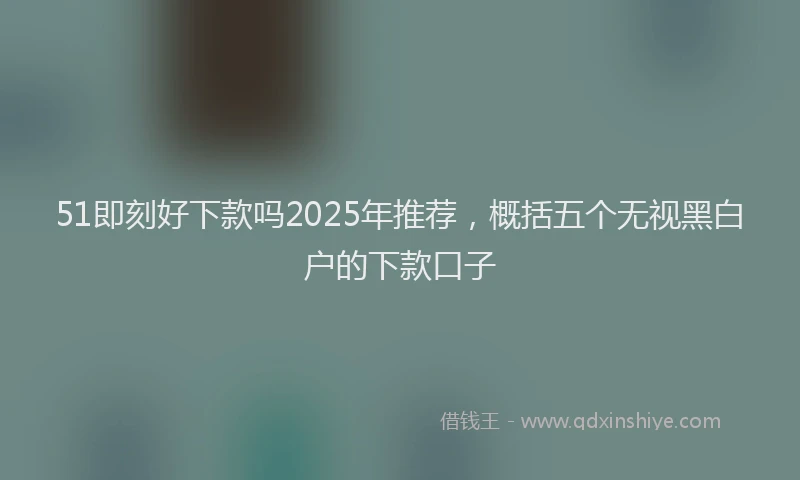 51即刻好下款吗2025年推荐，概括五个无视黑白户的下款口子