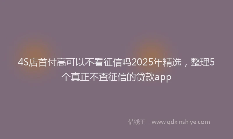 4S店首付高可以不看征信吗2025年精选，整理5个真正不查征信的贷款app