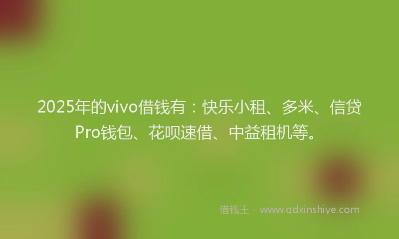 2025年的vivo借钱有：快乐小租、多米、信贷Pro钱包、花呗速借、中益租机等。