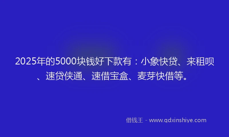 2025年的5000块钱好下款有：小象快贷、来租呗、速贷侠通、速借宝盒、麦芽快借等。