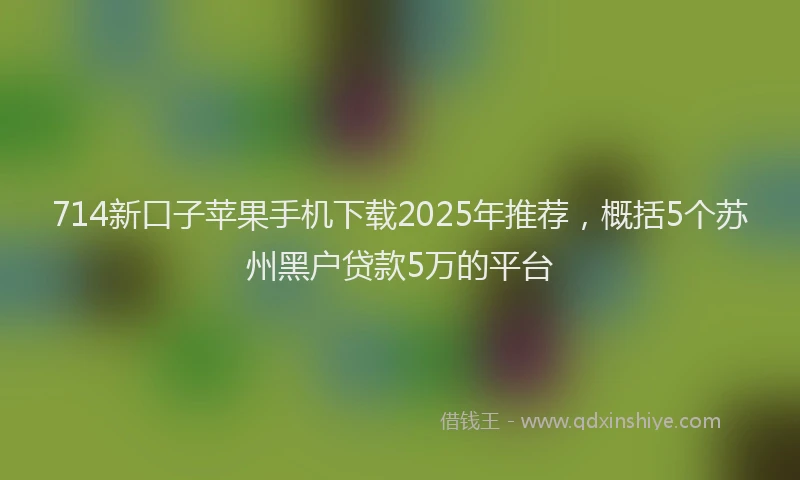 714新口子苹果手机下载2025年推荐，概括5个苏州黑户贷款5万的平台