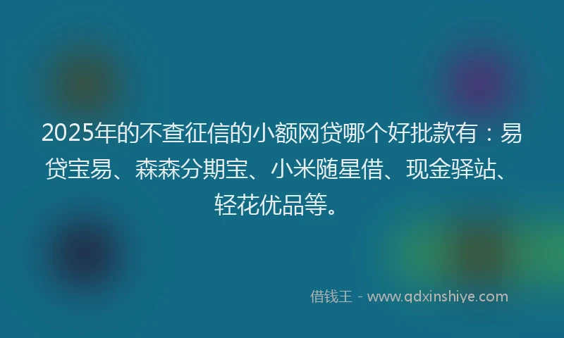 2025年的不查征信的小额网贷哪个好批款有：易贷宝易、森森分期宝、小米随星借、现金驿站、轻花优品等。