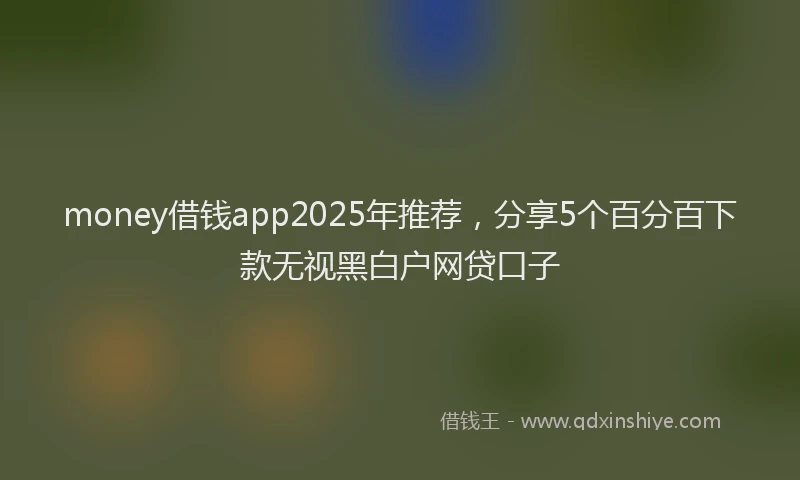 money借钱app2025年推荐，分享5个百分百下款无视黑白户网贷口子
