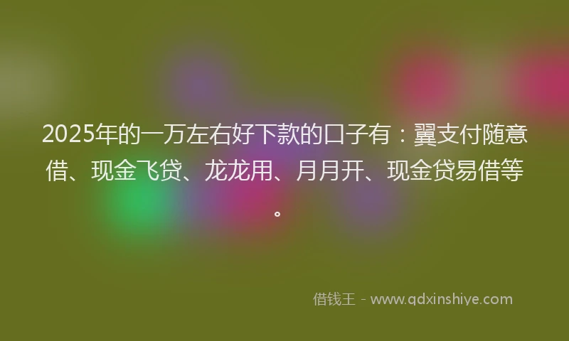 2025年的一万左右好下款的口子有：翼支付随意借、现金飞贷、龙龙用、月月开、现金贷易借等。