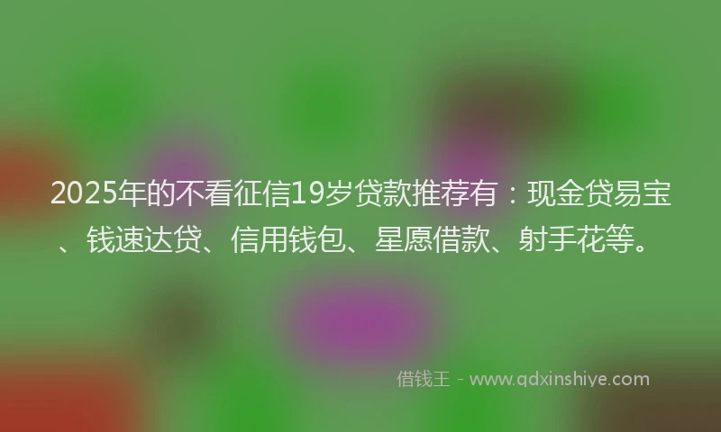 2025年的不看征信19岁贷款推荐有：现金贷易宝、钱速达贷、信用钱包、星愿借款、射手花等。