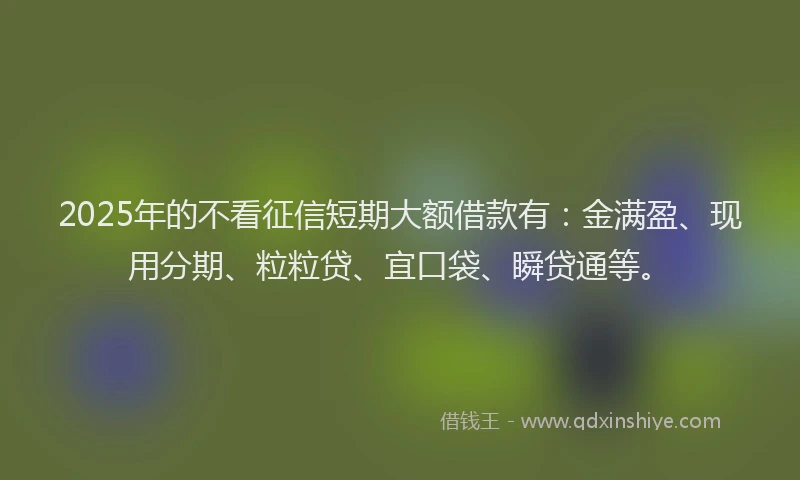 2025年的不看征信短期大额借款有：金满盈、现用分期、粒粒贷、宜口袋、瞬贷通等。