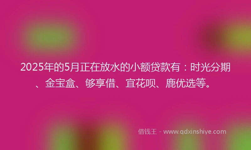 2025年的5月正在放水的小额贷款有：时光分期、金宝盒、够享借、宜花呗、鹿优选等。