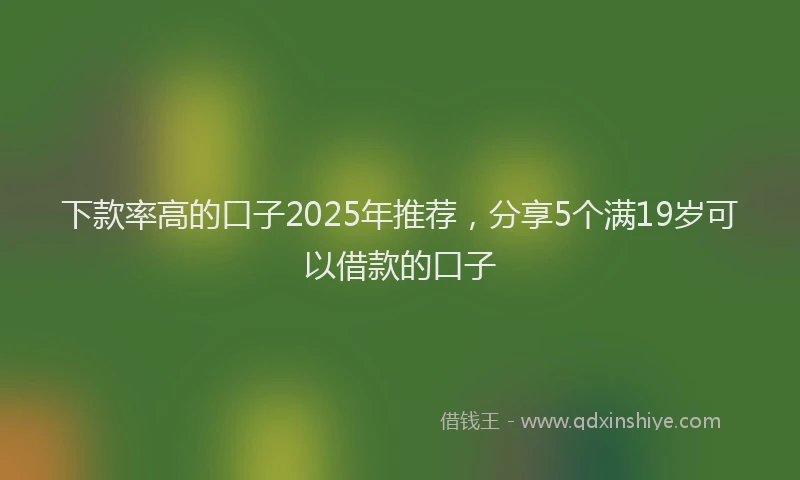 下款率高的口子2025年推荐，分享5个满19岁可以借款的口子