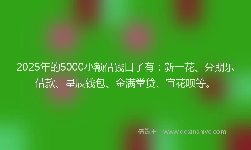 2025年的5000小额借钱口子有：新一花、分期乐借款、星辰钱包、金满堂贷、宜花呗等。