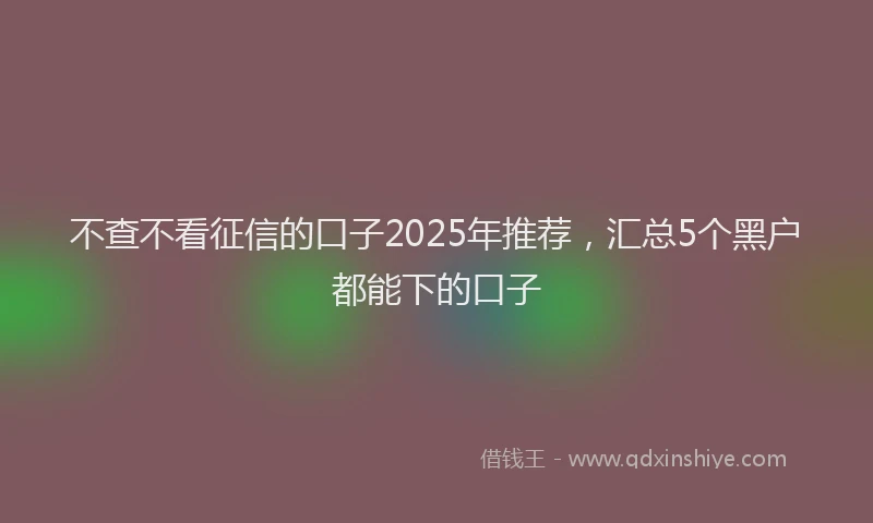 不查不看征信的口子2025年推荐，汇总5个黑户都能下的口子