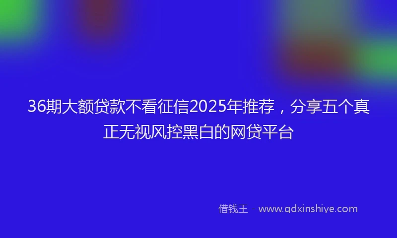 36期大额贷款不看征信2025年推荐，分享五个真正无视风控黑白的网贷平台
