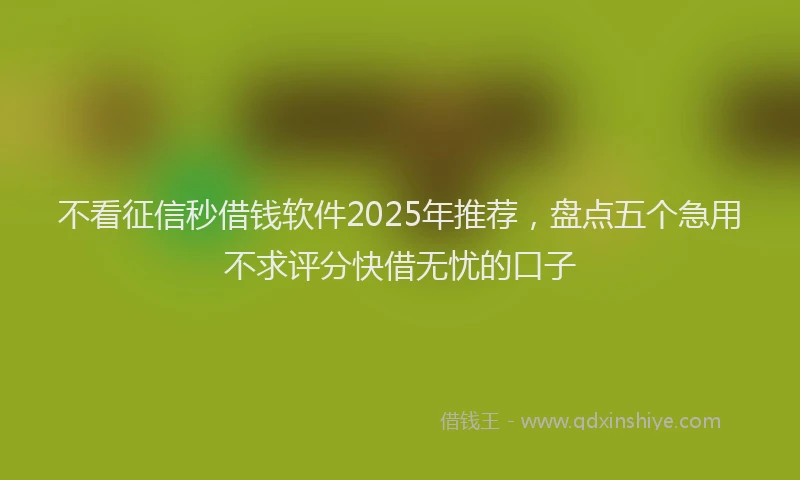 不看征信秒借钱软件2025年推荐，盘点五个急用不求评分快借无忧的口子