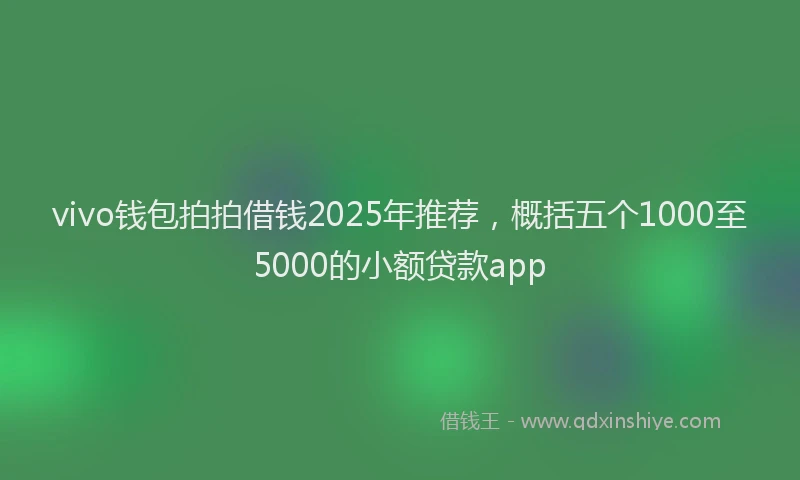vivo钱包拍拍借钱2025年推荐，概括五个1000至5000的小额贷款app