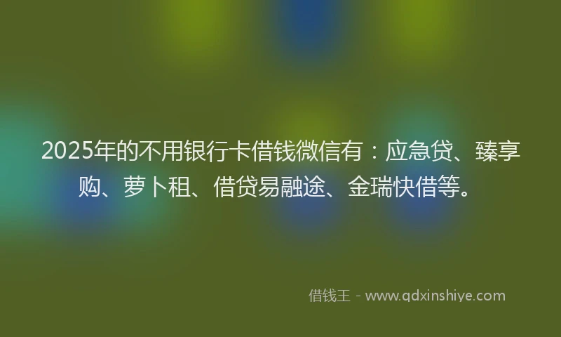 2025年的不用银行卡借钱微信有：应急贷、臻享购、萝卜租、借贷易融途、金瑞快借等。