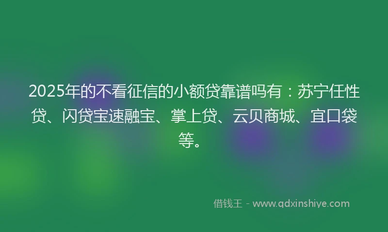 2025年的不看征信的小额贷靠谱吗有：苏宁任性贷、闪贷宝速融宝、掌上贷、云贝商城、宜口袋等。