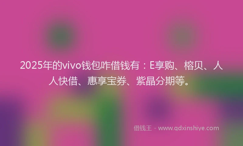2025年的vivo钱包咋借钱有：E享购、榕贝、人人快借、惠享宝券、紫晶分期等。