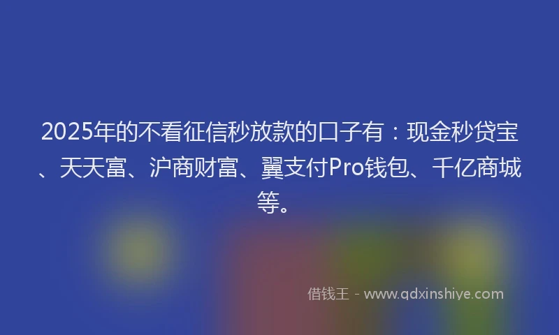 2025年的不看征信秒放款的口子有：现金秒贷宝、天天富、沪商财富、翼支付Pro钱包、千亿商城等。