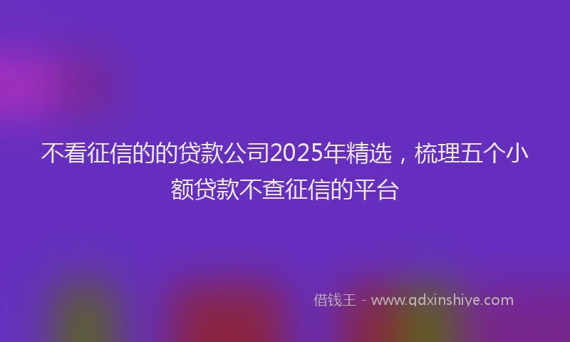 不看征信的的贷款公司2025年精选，梳理五个小额贷款不查征信的平台