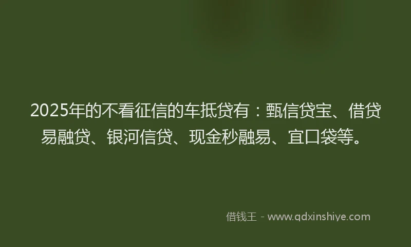 2025年的不看征信的车抵贷有：甄信贷宝、借贷易融贷、银河信贷、现金秒融易、宜口袋等。