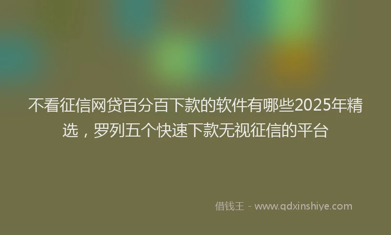 不看征信网贷百分百下款的软件有哪些2025年精选，罗列五个快速下款无视征信的平台