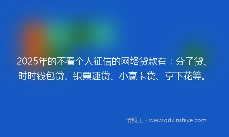 2025年的不看个人征信的网络贷款有：分子贷、时时钱包贷、银票速贷、小赢卡贷、享下花等。