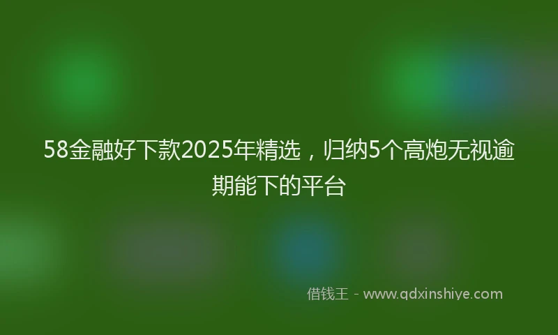 58金融好下款2025年精选，归纳5个高炮无视逾期能下的平台