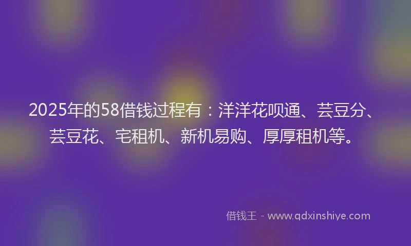 2025年的58借钱过程有：洋洋花呗通、芸豆分、芸豆花、宅租机、新机易购、厚厚租机等。
