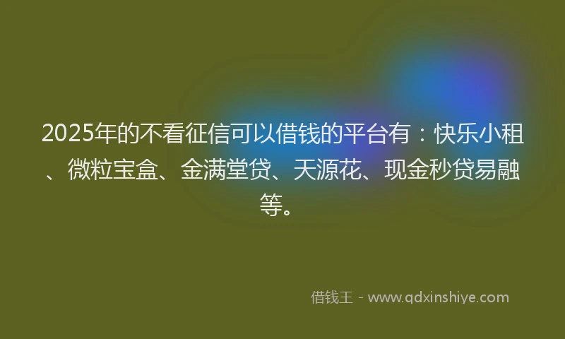 2025年的不看征信可以借钱的平台有：快乐小租、微粒宝盒、金满堂贷、天源花、现金秒贷易融等。