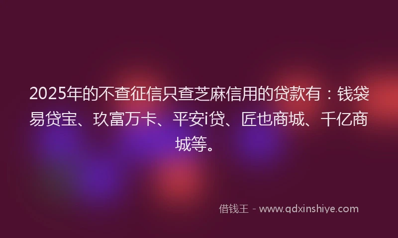 2025年的不查征信只查芝麻信用的贷款有：钱袋易贷宝、玖富万卡、平安i贷、匠也商城、千亿商城等。