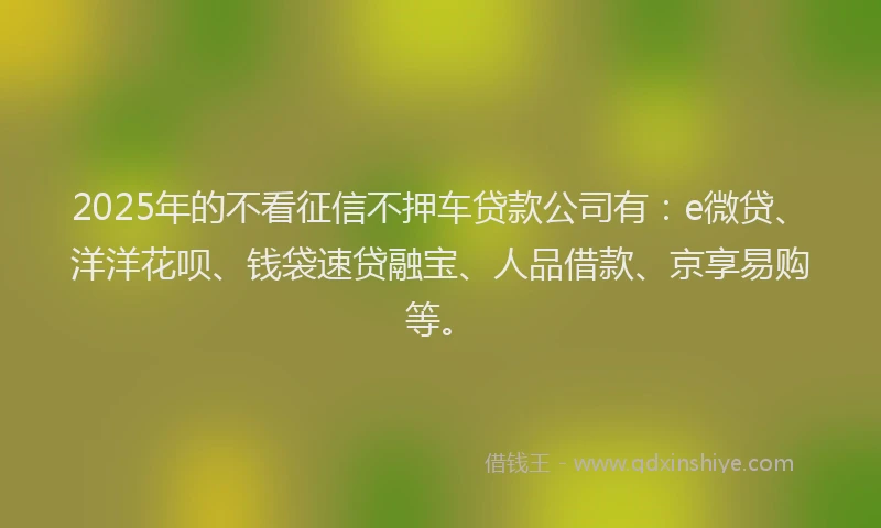 2025年的不看征信不押车贷款公司有：e微贷、洋洋花呗、钱袋速贷融宝、人品借款、京享易购等。