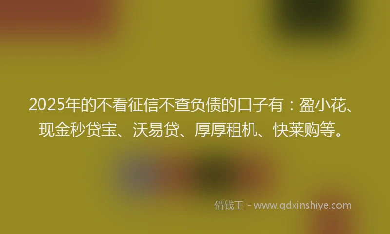 2025年的不看征信不查负债的口子有：盈小花、现金秒贷宝、沃易贷、厚厚租机、快莱购等。