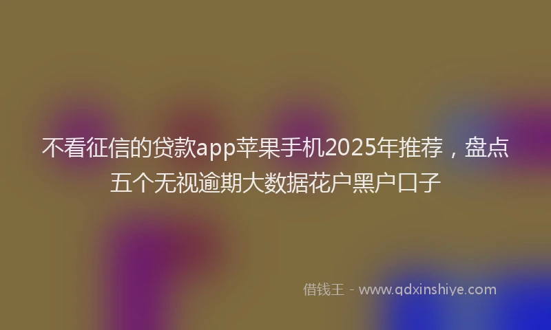 不看征信的贷款app苹果手机2025年推荐，盘点五个无视逾期大数据花户黑户口子