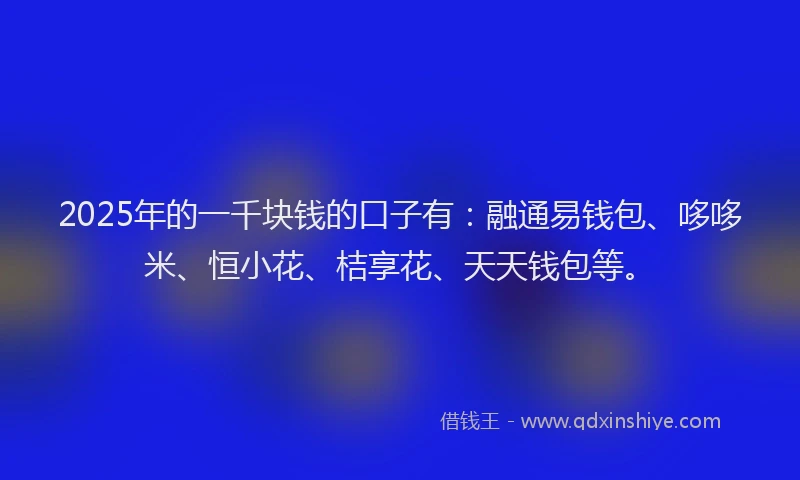 2025年的一千块钱的口子有：融通易钱包、哆哆米、恒小花、桔享花、天天钱包等。