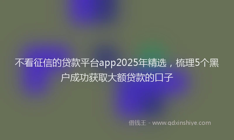 不看征信的贷款平台app2025年精选，梳理5个黑户成功获取大额贷款的口子
