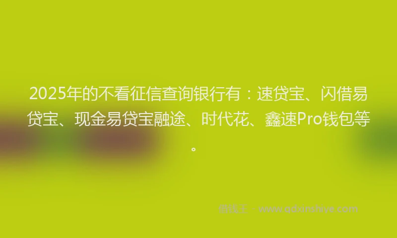 2025年的不看征信查询银行有：速贷宝、闪借易贷宝、现金易贷宝融途、时代花、鑫速Pro钱包等。
