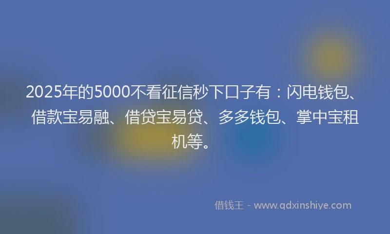 2025年的5000不看征信秒下口子有：闪电钱包、借款宝易融、借贷宝易贷、多多钱包、掌中宝租机等。