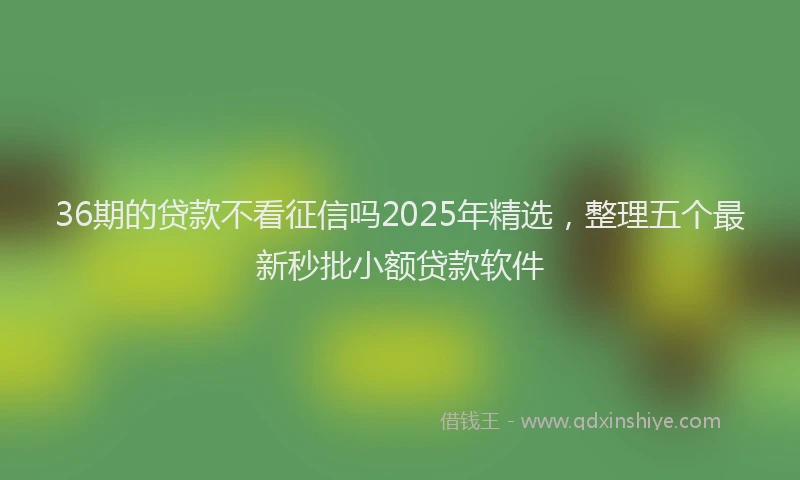 36期的贷款不看征信吗2025年精选，整理五个最新秒批小额贷款软件